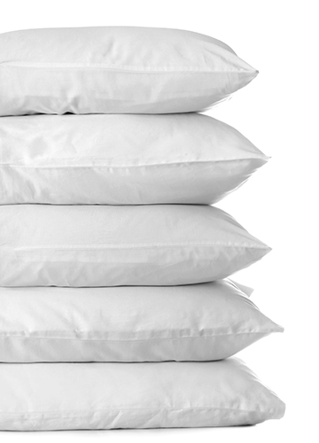 Pillows & Pillow Protectors